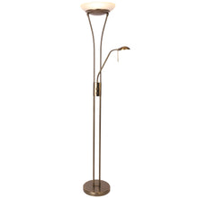 Reed LED Mother and Child Floor Lamp